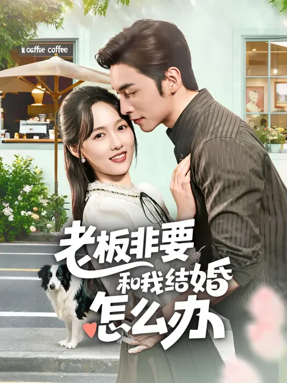 老板非要和我结婚怎么办短剧海报