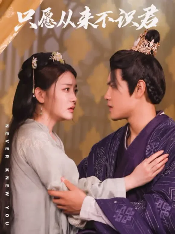只愿从来不识君短剧海报