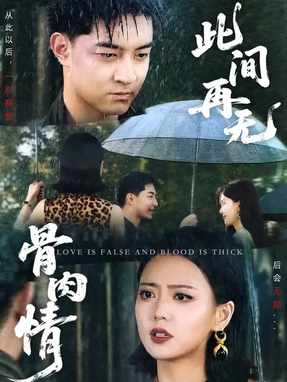 此间再无骨肉情短剧海报