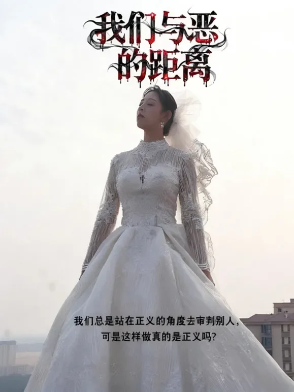 我们与恶的距离短剧海报