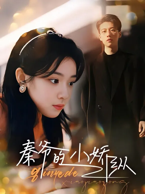 秦爷的小娇纵短剧海报