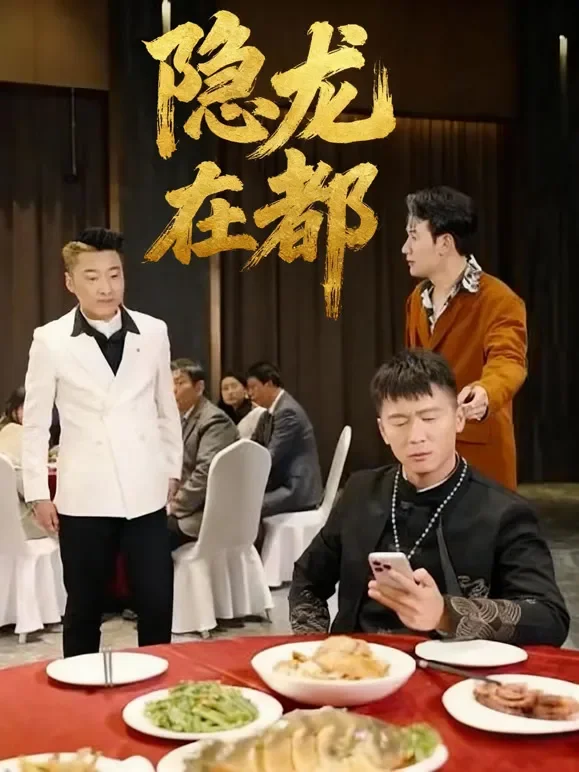 隐龙在都短剧海报