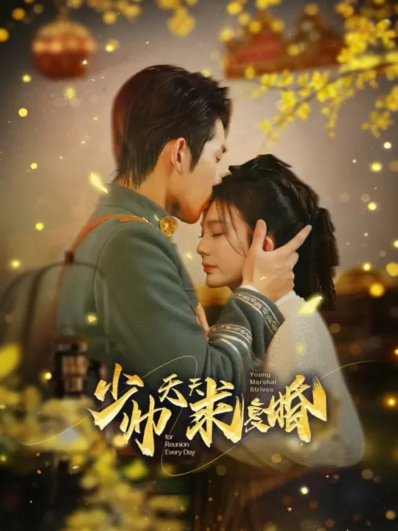 少帅天天想复婚短剧海报