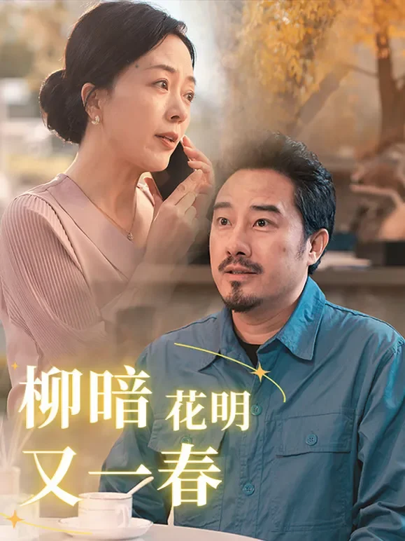 柳暗花明又一春短剧海报