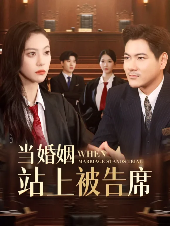 当婚姻站上被告席短剧海报