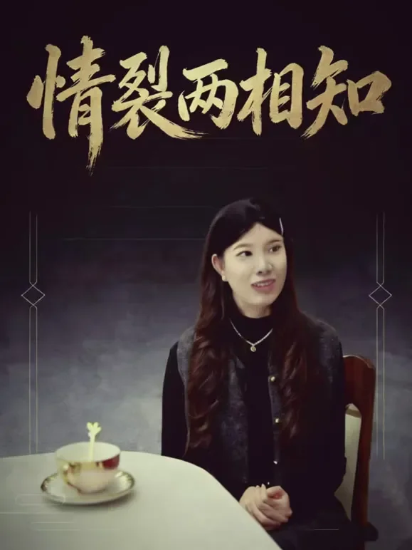 情裂两相知短剧海报