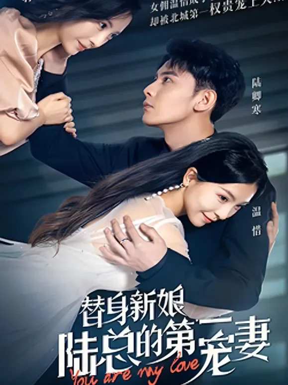 替身新娘：陆总的第一宠妻短剧海报