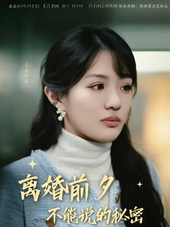 离婚前夕，不能说的秘密短剧海报