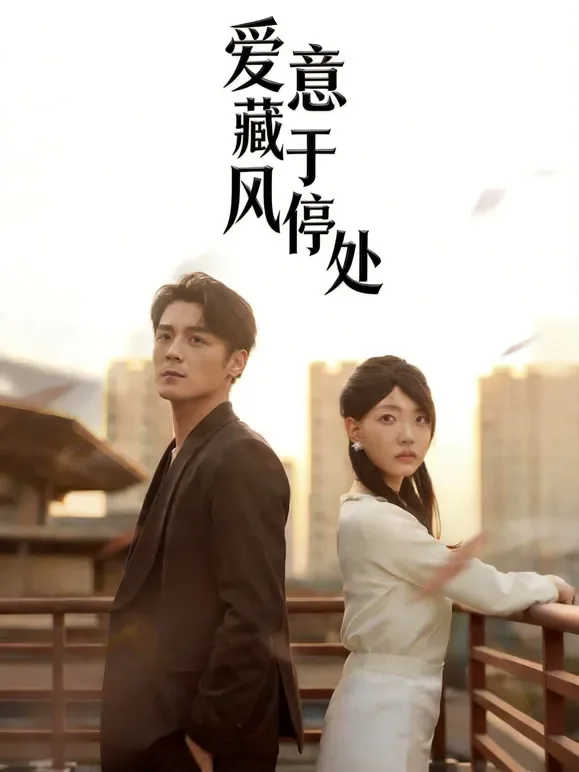 爱意藏于风停处短剧海报