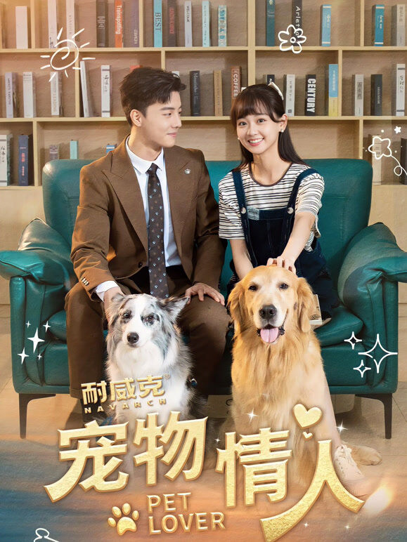 宠物情人