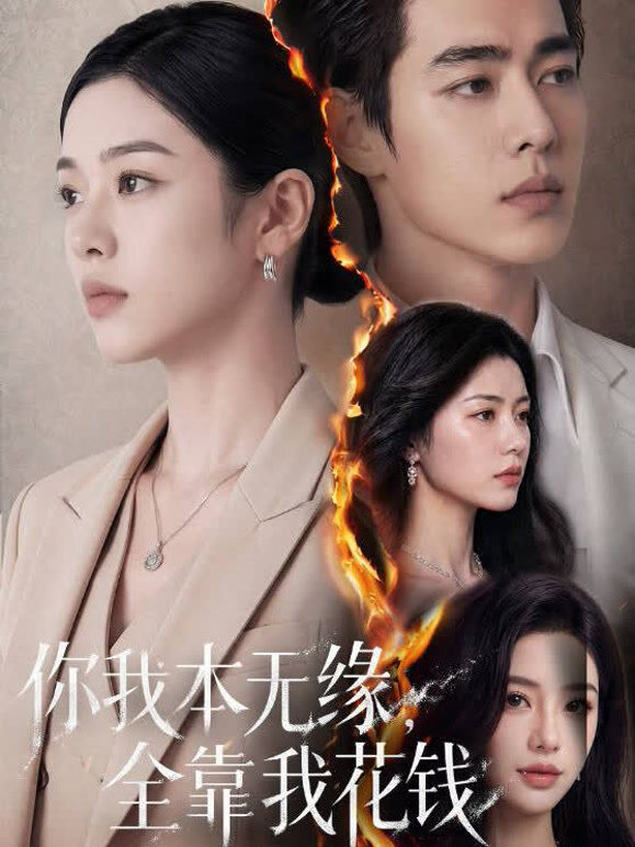 你我本无缘，全靠我花钱