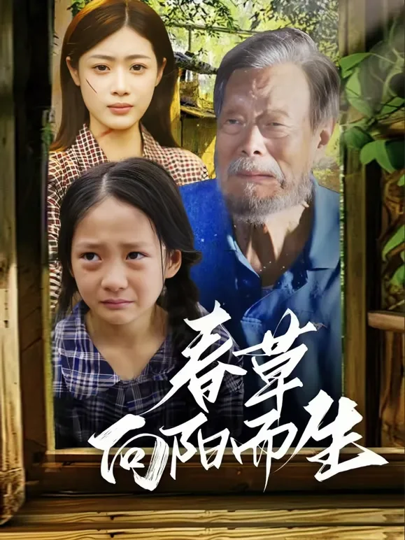 春草向阳而生短剧海报