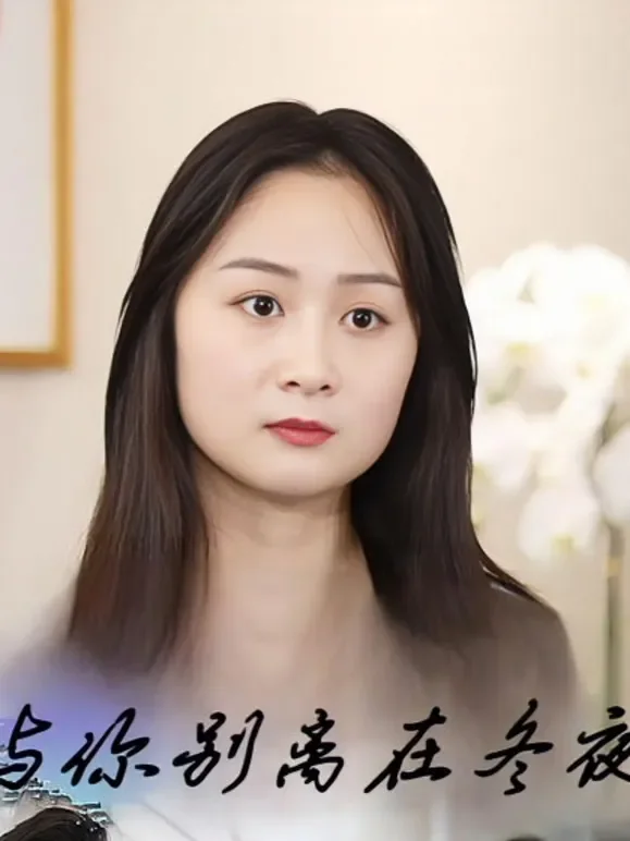 与你别离在冬夜短剧海报