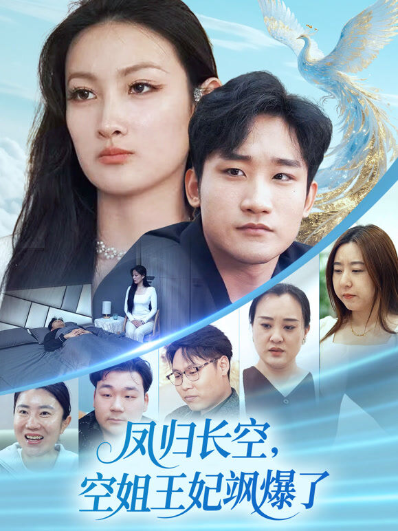 凤归长空，空姐王妃飒爆了