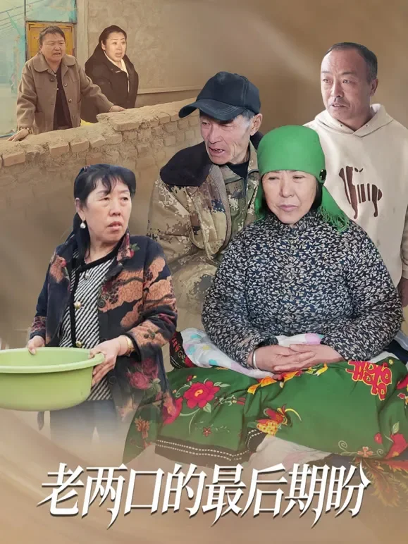 老两口的最后期盼短剧海报