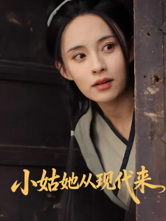 小姑她从现代来短剧海报