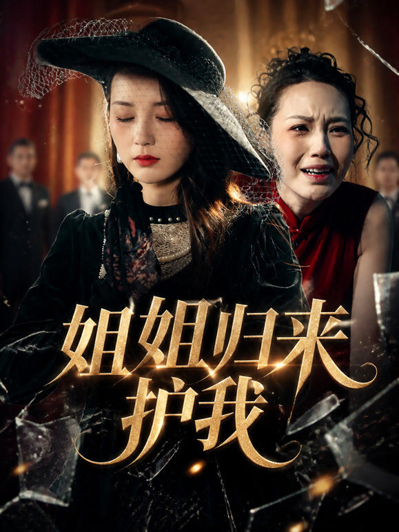 姐姐归来护我