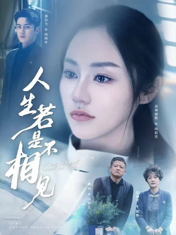 人生若是不相见短剧海报