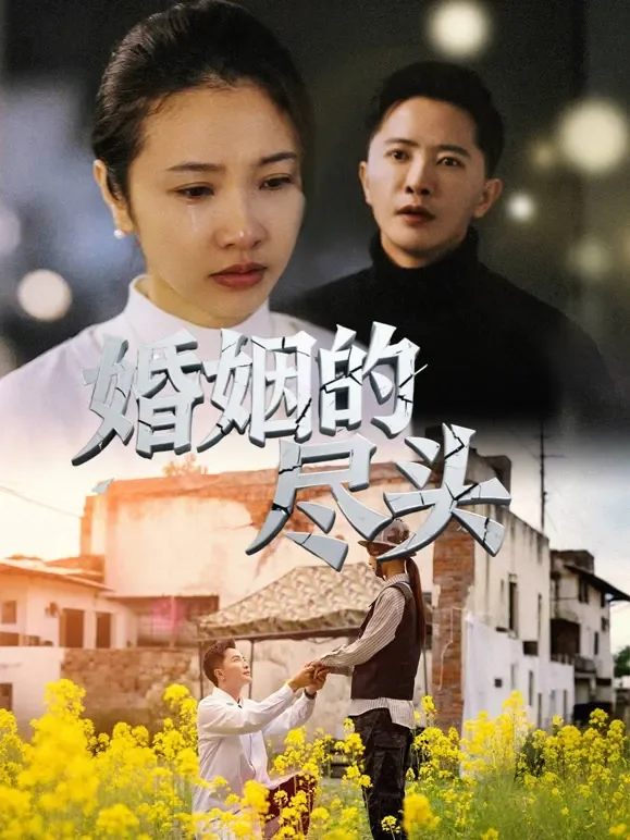 婚姻的尽头短剧海报