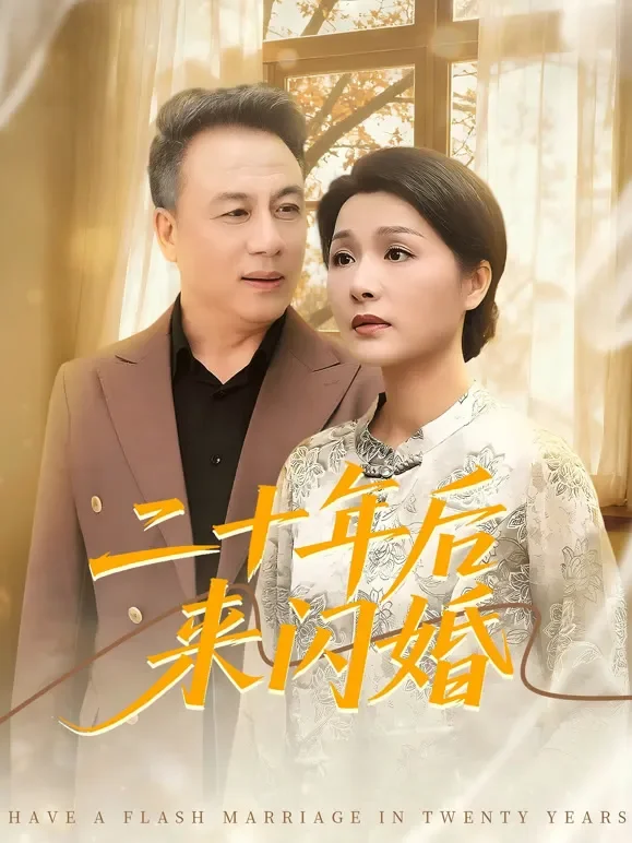 二十年后来闪婚短剧海报
