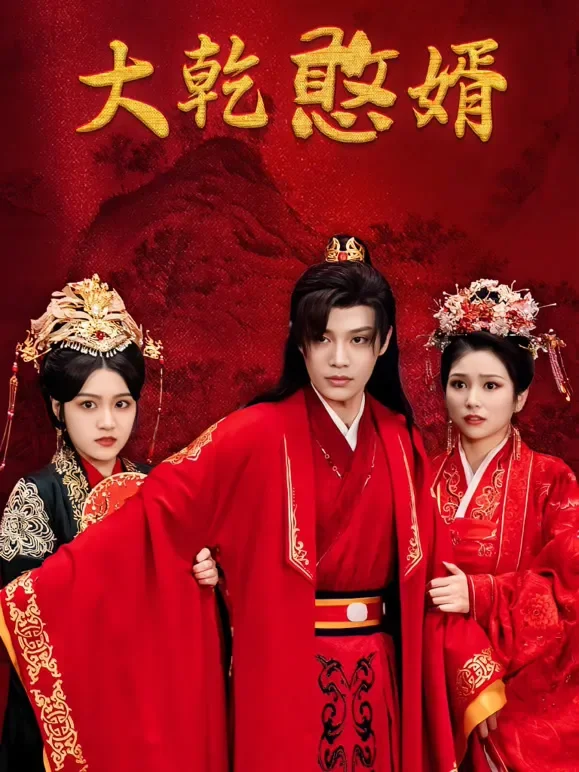 大乾憨婿短剧海报