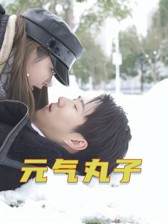 元气 丸子