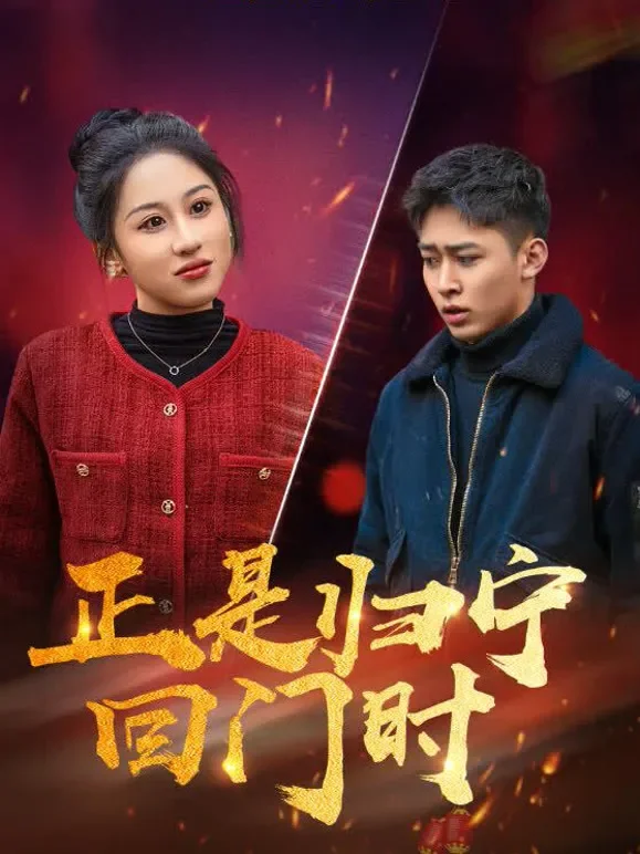正是归宁回门时短剧海报