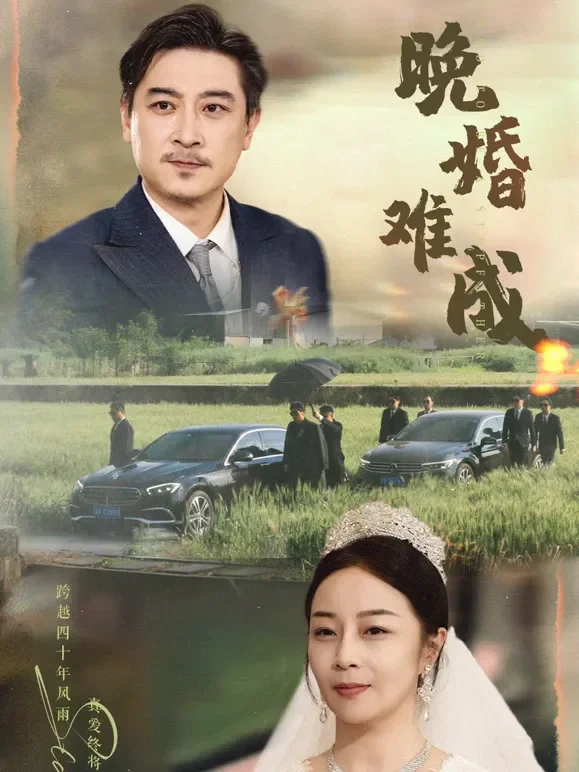 晚婚难成短剧海报