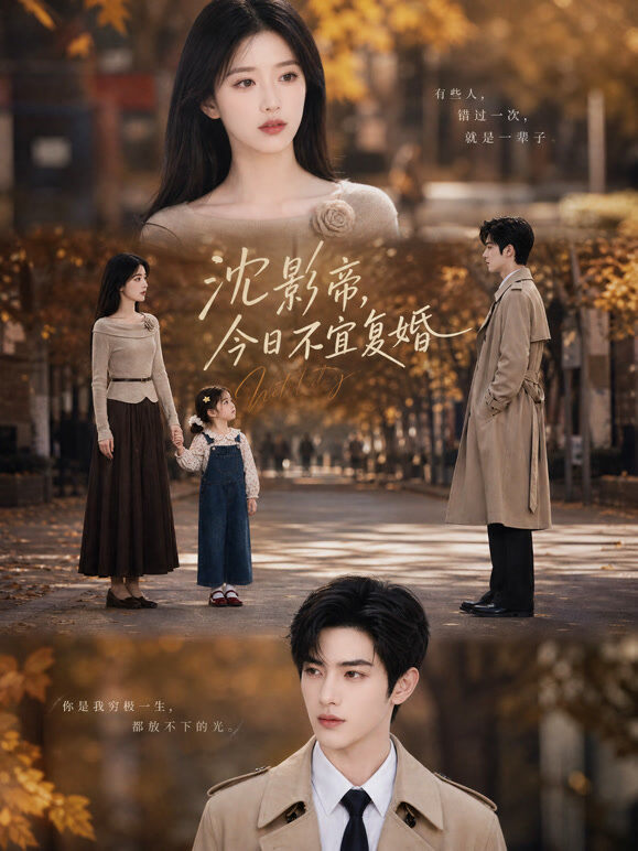 沈影帝，今日不宜复婚