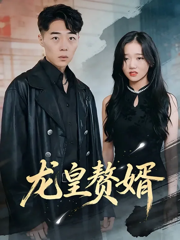 龙皇赘婿短剧海报