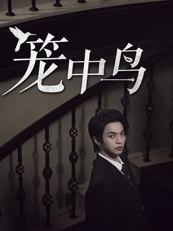 笼中鸟短剧海报