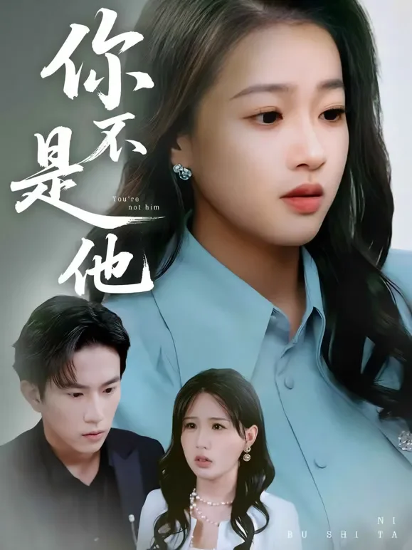 你不是他短剧海报