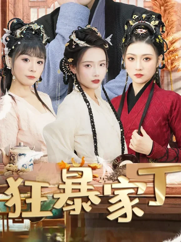狂暴家丁短剧海报