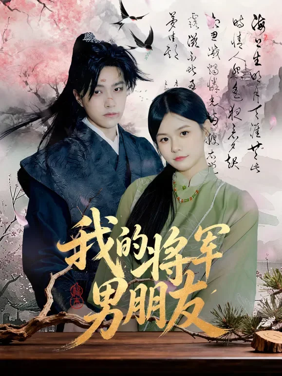我的将军男朋友短剧海报