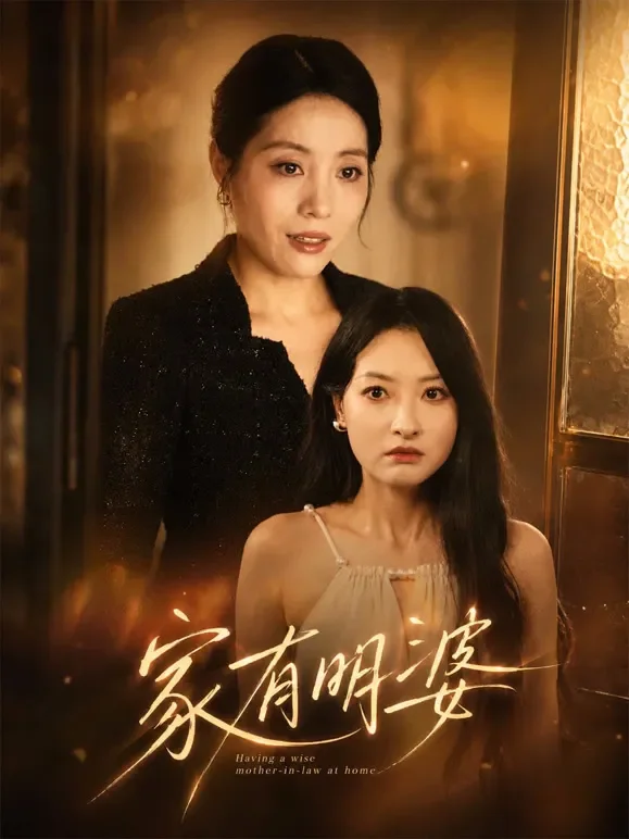家有明婆短剧海报