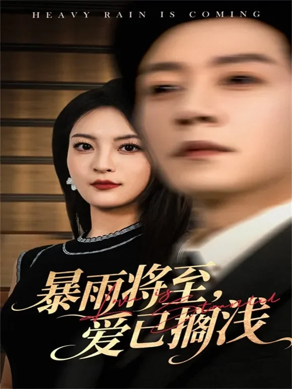 暴雨将至，爱已搁浅短剧海报
