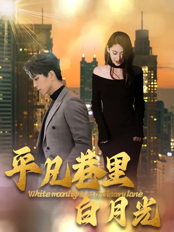 平凡巷里白月光短剧海报