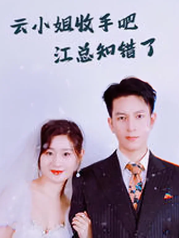 云小姐收手吧江总知错了短剧海报