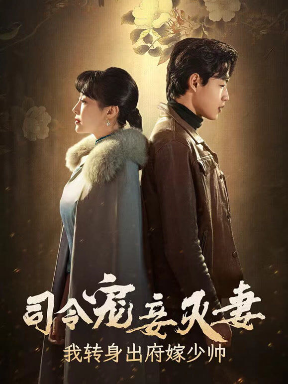 司令宠妾灭妻，我转身出府嫁少帅