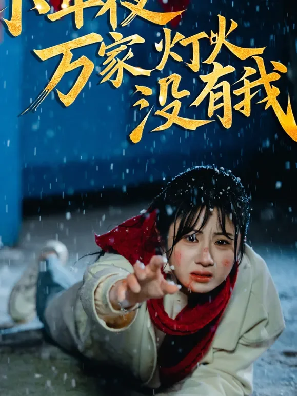 小年夜万家灯火没有我短剧海报