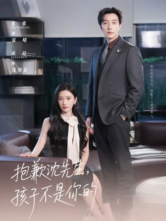 抱歉沈先生，孩子不是你的短剧海报