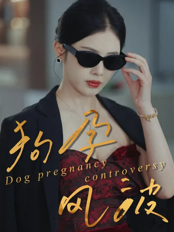 狗孕风波短剧海报