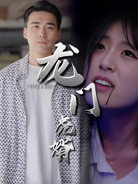 龙门虎婿短剧海报