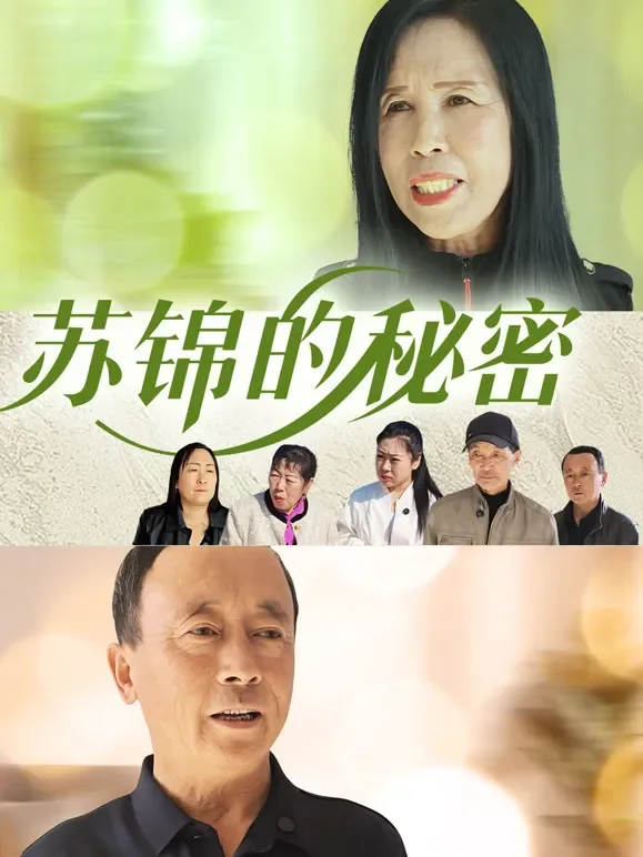 苏锦的秘密短剧海报