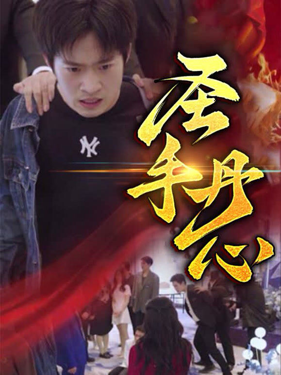 圣手丹心