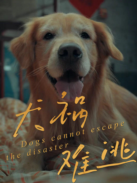 犬祸难逃