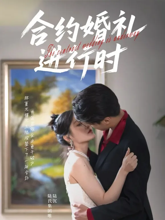 合约婚礼进行时短剧海报