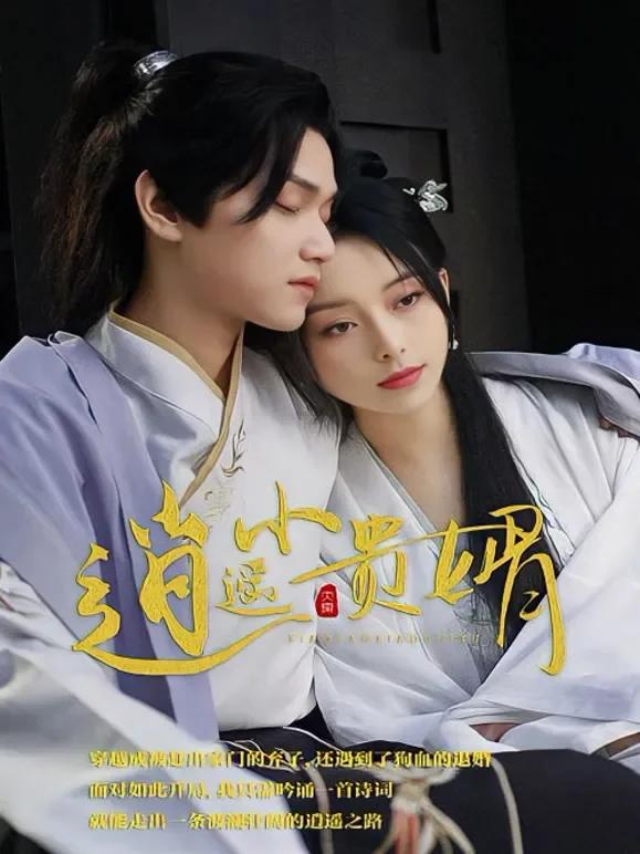 逍遥小贵婿短剧海报