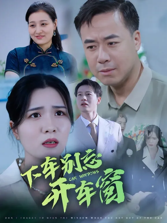 下车别忘开车窗短剧海报
