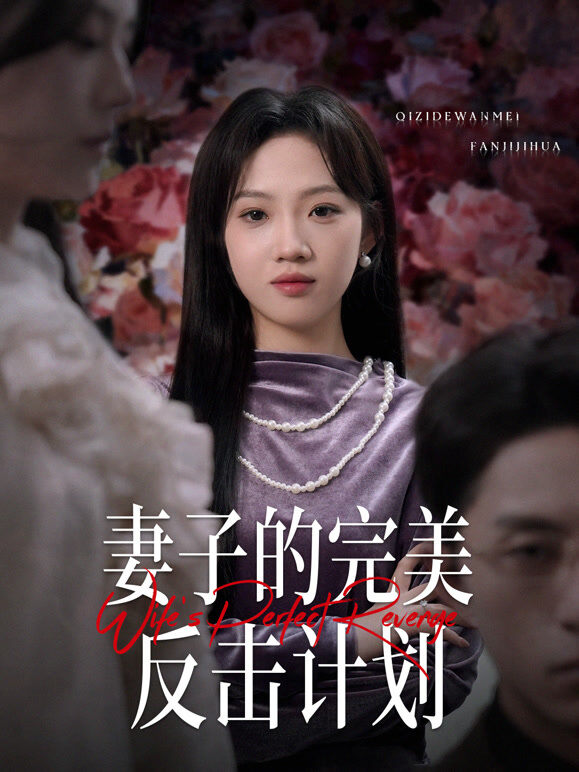 妻子的完美反击计划